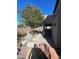 Backyard featuring desert landscaping, tree, rock features, and covered patio at 10134 Reflection Brook Ave, Las Vegas, NV 89148