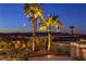 Night view features palm trees and city lights and mountain views at 1992 Fort Halifax St, Henderson, NV 89052