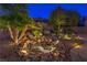Beautifully lit rock water feature with desert landscaping and palm trees at dusk at 1992 Fort Halifax St, Henderson, NV 89052