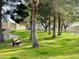 Park area with green lawn, mature trees, and a park bench at 3630 Mckinley Ave, Las Vegas, NV 89121