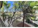 Scenic view of a courtyard with walking path and manicured trees at 8250 N Grand Canyon Dr # 2059, Las Vegas, NV 89166