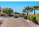 The backyard features gravel, trees, shrubs, and a view of neighboring houses at 2253 Laurel Heights Ln, Henderson, NV 89052