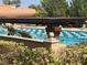 Outdoor pool featuring blue and white tiles with people swimming and desert landscaping at 3112 Hayden Ct, Las Vegas, NV 89134