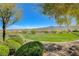 Expansive backyard with green grass and beautiful mountain views at 3356 Dalmore St, Henderson, NV 89044