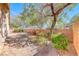 A well-maintained backyard featuring a combination of gravel and garden areas at 6028 Stern Cove Ct, North Las Vegas, NV 89031