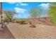 Expansive backyard with gravel landscape and desert foliage, offering low maintenance with privacy wall on sunny day at 7633 Lily Trotter St, North Las Vegas, NV 89084