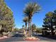 Gated community entrance with mature palm trees and well-maintained landscaping at 11009 Royal Highlands St, Las Vegas, NV 89141