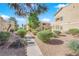 Exterior shot featuring walkways, desert landscaping, and trees surrounding a condo complex at 1541 Linnbaker Ln # 202, Las Vegas, NV 89110