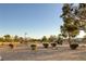 Community playground with swings and slide amid lush landscaping and abundant green space, perfect for families and outdoor activities at 4833 Integrity St, North Las Vegas, NV 89031