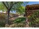 Spacious backyard with lush lawn, trees, and lattice-covered patio offering a serene outdoor living space at 8213 Cabin Springs Ave, Las Vegas, NV 89131