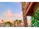 Exterior view features palm trees and other greenery under a colorful sunset sky at 1701 E Katie Ave # 42, Las Vegas, NV 89119