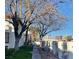 A street view presents a sidewalk and mature trees against a backdrop of city buildings at 1701 E Katie Ave # 42, Las Vegas, NV 89119