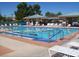 Community pool with shade structures, multiple chairs for lounging, and a view of a neighborhood at 2201 Tiger Links Dr, Henderson, NV 89012