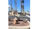 View of community entrance sign surrounded by decorative rocks, plants, and palm trees with beige buildings in the background at 2240 Highpointe Dr # 201, Laughlin, NV 89029