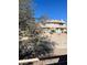 View of a tree in front of a home at 2240 Highpointe Dr # 201, Laughlin, NV 89029