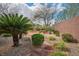 Backyard featuring stone pavers, desert landscaping, and mature trees at 2629 Chateau Clermont St, Henderson, NV 89044