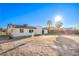 Backyard with a mix of desert landscape, new grass, and mature palm trees at 4954 Palmyra Ave, Las Vegas, NV 89146