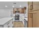 Well-lit kitchen with stainless steel appliances, an island, and wood cabinets providing ample storage at 528 Sheffield Dr, Henderson, NV 89014