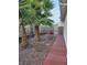 Private backyard featuring palm trees and a cozy patio area at 7186 Cressida Ct, Las Vegas, NV 89113