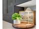 Stylish kitchen showcasing a plant, lamp, and artwork atop a neutral countertop and gray cabinets at 9007 Antora Summit St, Las Vegas, NV 89166