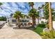 Expansive backyard featuring desert landscaping, palm trees, and patio furniture at 230 Pintale Cir, Henderson, NV 89074