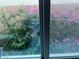 A picturesque view from the window showcases vibrant bougainvillea, enhancing the beauty of the outdoor space at 10438 Skye Arroyo Ave, Las Vegas, NV 89166