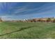 Expansive green community park offers a recreational space with nearby homes under a clear blue sky at 3524 Crotone Ave, Henderson, NV 89044