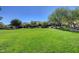 Expansive green space, perfect for outdoor activities and relaxation in the community at 5741 Shadow Bend Dr, Las Vegas, NV 89135