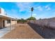 Backyard with desert landscaping and a tall palm tree creating a serene setting at 7817 Aplin Ave, Las Vegas, NV 89145