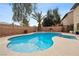 Private backyard featuring a sparkling swimming pool and spa, perfect for relaxation and entertainment at 820 Sandhill Sage St, Henderson, NV 89052