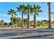 View of palm trees and community features in a well-maintained area at 3339 Duece St, Las Vegas, NV 89121