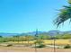 An inviting view from the property showcases a green space with walking paths, trees, and a charming church at 8349 Spruce Bay Ave, Las Vegas, NV 89178