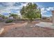 Open backyard with gravel landscaping, mature shade tree, and partial view of adjacent property at 9421 Gold Mountain Dr, Las Vegas, NV 89134