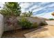 Backyard featuring a concrete patio and a cinder block wall with shrubbery at 205 Crown Imperial St, Henderson, NV 89074