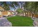 Green backyard with artificial turf, shed and patio area, ideal for outdoor gatherings and relaxation at 2213 Midvale Ter, Henderson, NV 89074