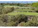 Expansive community golf course featuring well-maintained fairways, greens, and lush landscaping with mountain view in the background at 1 Ibis Ct, Henderson, NV 89052