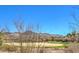 Scenic view of golf course and mountain range in the distance under a clear sky at 1 Ibis Ct, Henderson, NV 89052