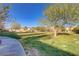 Expansive community green space with mature trees, and manicured grass, perfect for recreation at 11103 African Sunset St, Henderson, NV 89052
