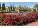 Beautiful landscaping and flowers welcome you to this Traccia neighborhood at 11354 Merado Peak Dr, Las Vegas, NV 89135