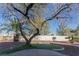 Landscaped backyard with mature trees, gravel, and a concrete patio at 2824 Morning Ridge Dr, Las Vegas, NV 89134