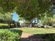 Lush green lawn and mature trees create a park-like setting at 2899 Bluebonnet Dr # 2899, Henderson, NV 89074
