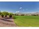 Expansive community green space provides a lush area for recreation and relaxation with mountain views at 10556 Nantucket Ridge Ave, Las Vegas, NV 89166
