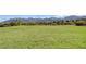 Expansive green field ideal for outdoor activities, sports, and community events at 10556 Nantucket Ridge Ave, Las Vegas, NV 89166