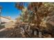 Backyard featuring trees, foliage, and various yard items at 2493 Ram Crossing Way, Henderson, NV 89074