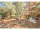 Backyard featuring trees, foliage, and various yard items at 2493 Ram Crossing Way, Henderson, NV 89074