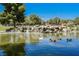 Scenic pond with ducks swimming, complemented by a rock waterfall and lush trees in the background at 3213 Oyster Bay St, Las Vegas, NV 89117
