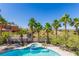 Backyard view of sparkling pool, spa, palm trees and grass at 7808 Foothill Ash Ave, Las Vegas, NV 89117