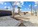 Spacious backyard with a concrete patio, mature palm trees, and perimeter fencing at 1417 Joshua Way, Las Vegas, NV 89101