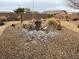 A tranquil backyard with a rock pond, lush greenery and desert landscaping at 150 Spruce Ln, Pahrump, NV 89048