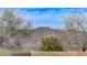 A scenic view of the mountains in the distance, framed by trees and the brick backyard fence at 2204 Bay Thrush Way, North Las Vegas, NV 89084